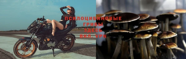 соль курить ск Няндома