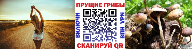 Галлюциногенные грибы Cubensis  Купить где  Орск 